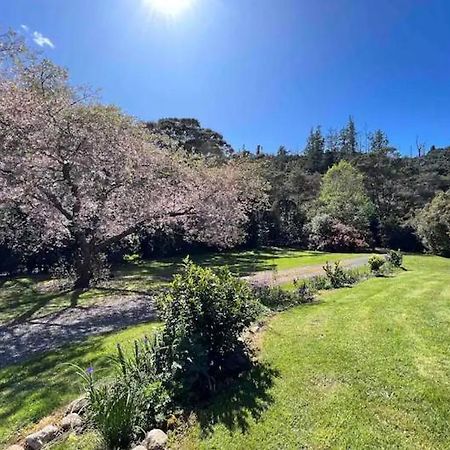 Coromandel Secluded Log Cabin Retreat Hikuai エクステリア 写真
