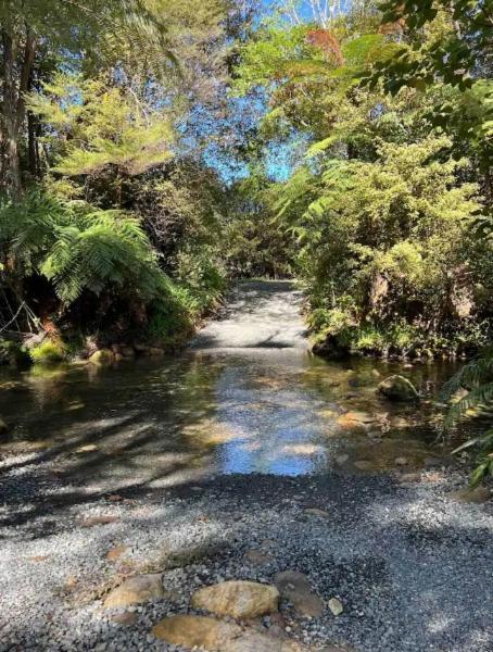 Coromandel Secluded Log Cabin Retreat Hikuai エクステリア 写真