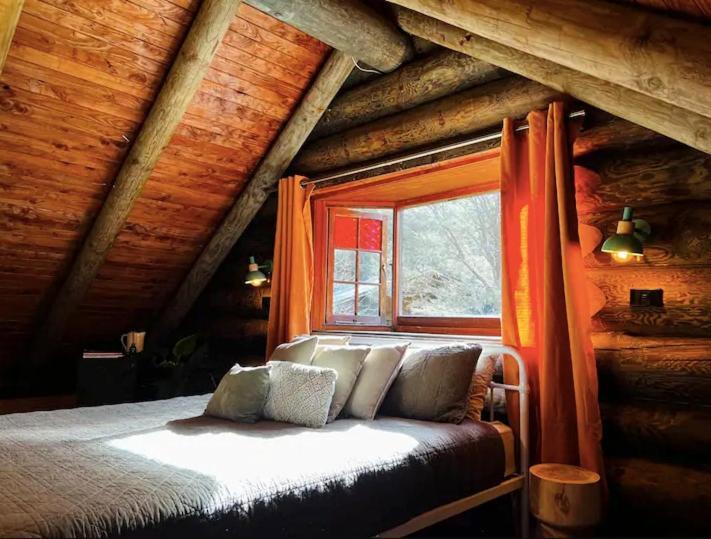 Coromandel Secluded Log Cabin Retreat Hikuai エクステリア 写真