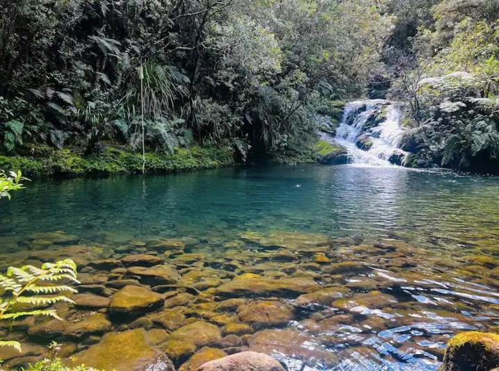 Coromandel Secluded Log Cabin Retreat Hikuai エクステリア 写真