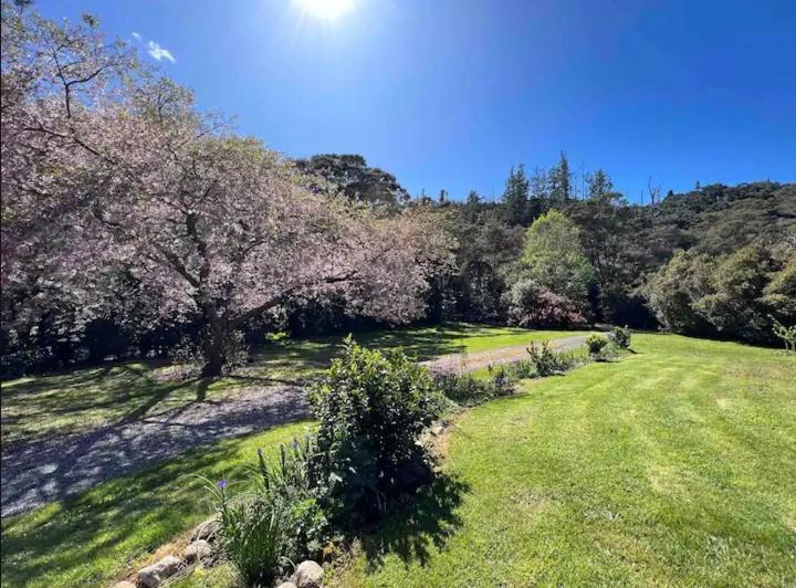 Coromandel Secluded Log Cabin Retreat Hikuai エクステリア 写真